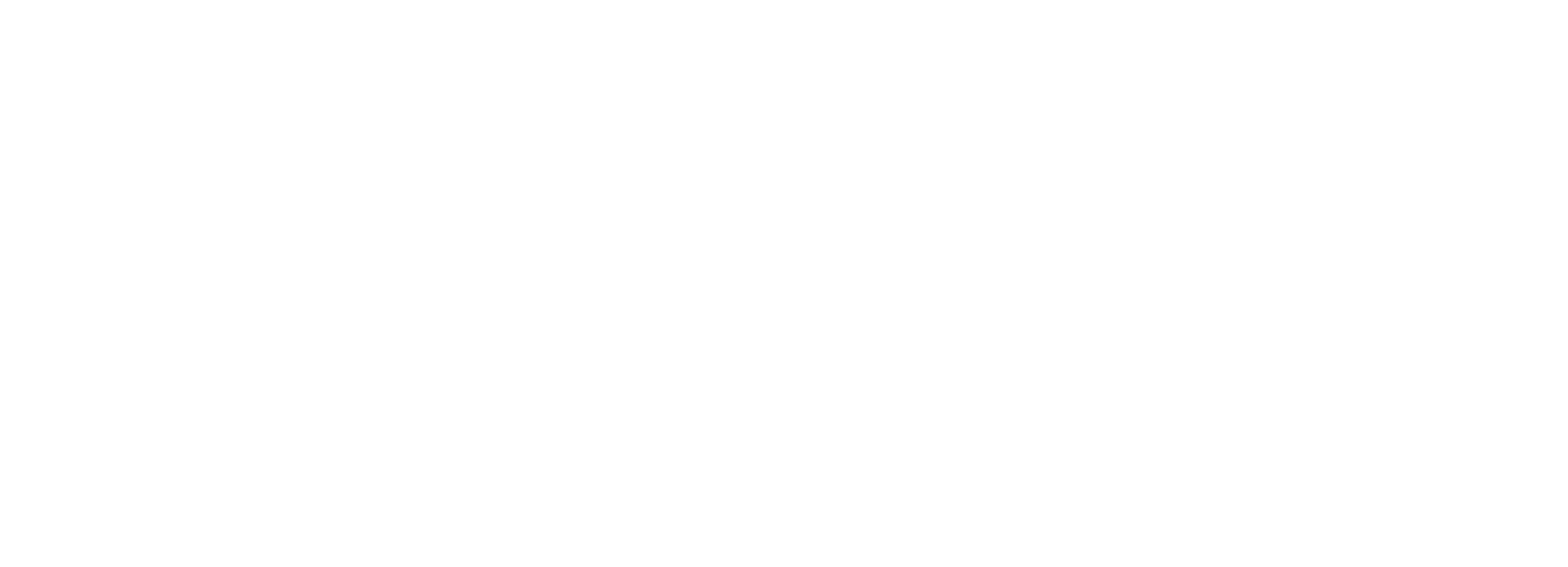 Logo INTRA